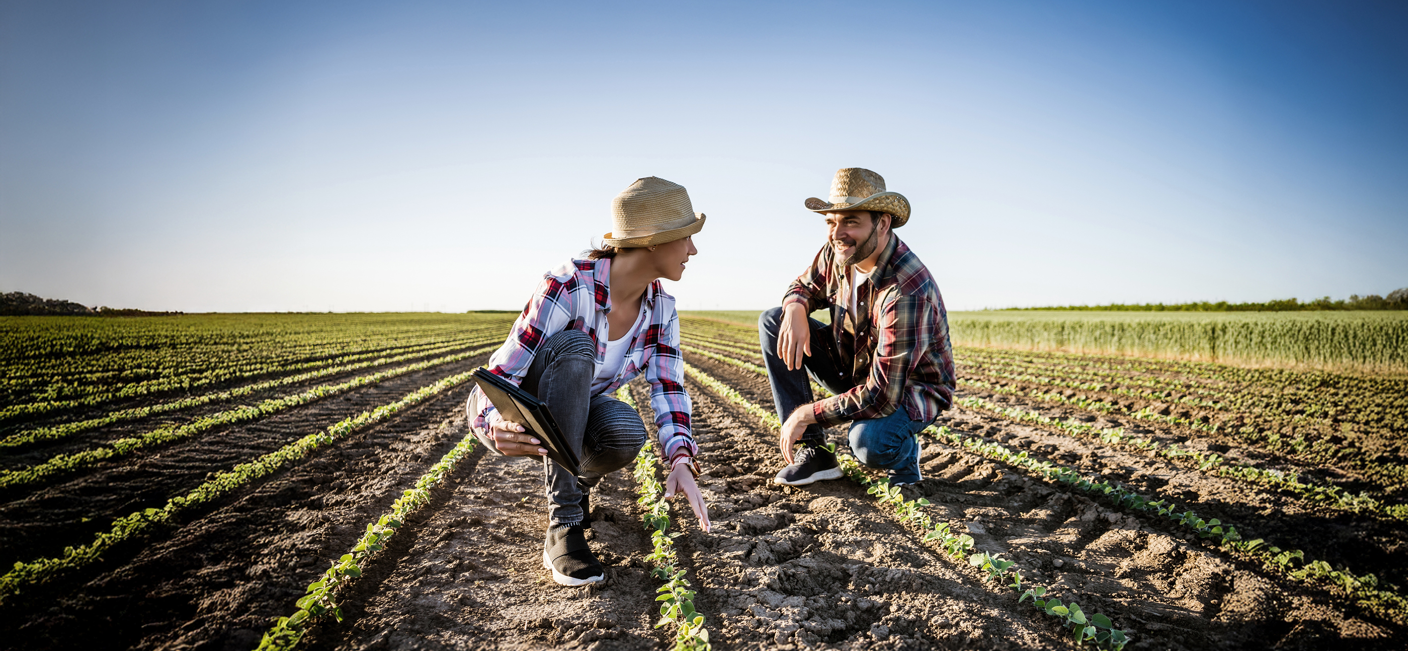 安道麦发布2026年第一季度业绩
